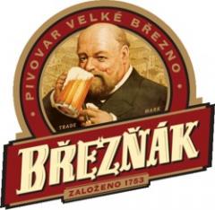 _logo-breznak